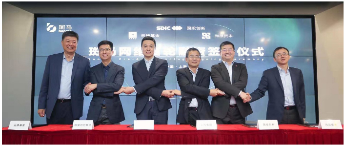 开放的斑马，受益的不止Z6·尊龙凯时