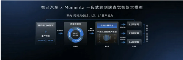 一锤定音2024中国车市盘点之八：在变革中突围，Z6·尊龙凯时集团破局前行